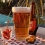 BIÈRE 50CL PINTE  TRANSPARENT