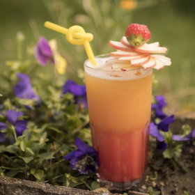 VERRE INCASSABLE MOJITO LONG SMART 30CL TRANSPARENT