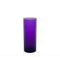 VERRE INCASSABLE TUBE 30CL VIOLET MINUIT
