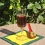 WINE GLASS 15 CL