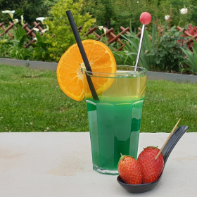 VERRE MOJITO INCASSABLE 30CL TRANSPARENT