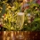 Unzerbrechliche und wiederverwendbare Champagnerflöte.