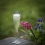 CHAMPAGNE FLUTE 9CL IRIS VIOLET